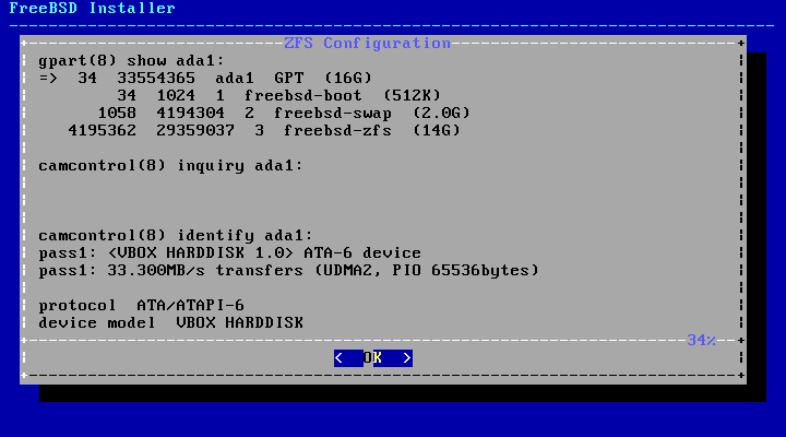 bsdinstall zfs disk info